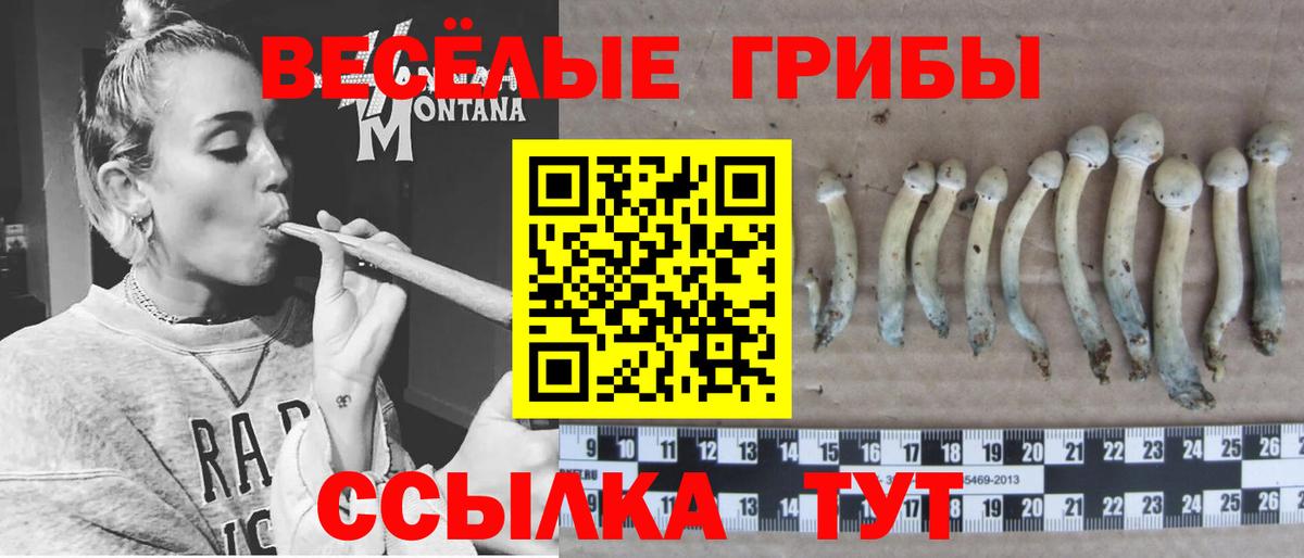 Галлюциногенные грибы ЛСД Элиста